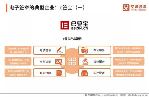 2021年中國企業數字化發展研究報告 網絡技術服務的前景與挑戰